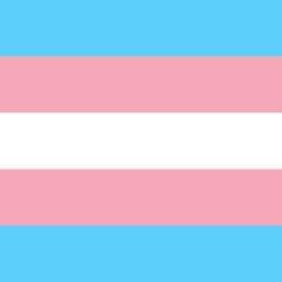 Bandeira do movimento transgênero
