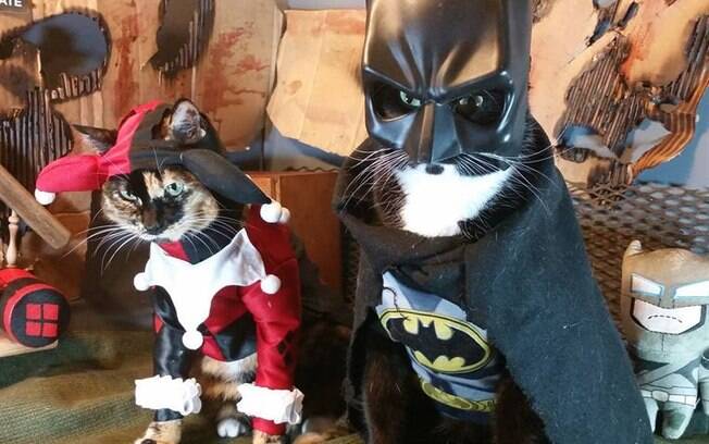 Arlequina e Batman.