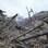 Cidade fica completamente destruída após terremoto que matou mais de mil pessoas no Nepal. Foto: AP