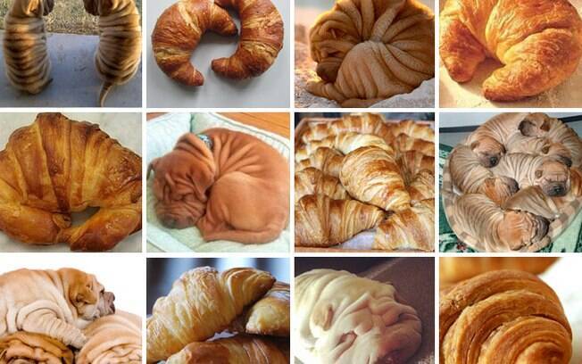 Cachorro ou croissant