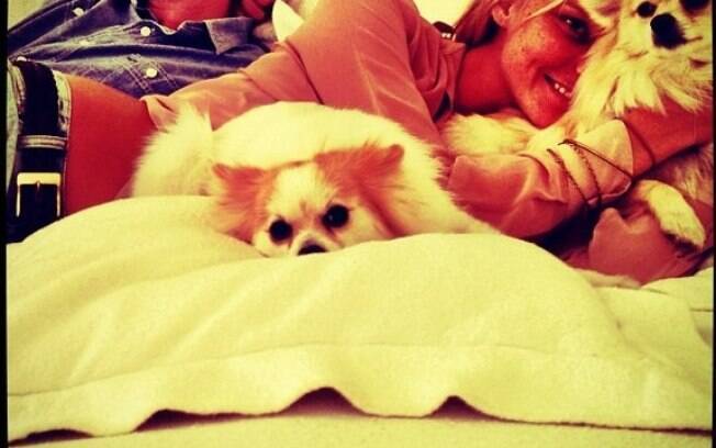 Carol Trentini se diverte com seus cães na cama