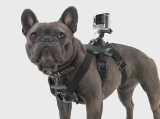 Acessório da marca Go Pro permite acoplar uma câmera com segurança às costas ou ao peito de um cão