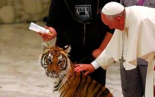 Durante audiência, Papa acaricia tigre e brinca com plateia no Vaticano