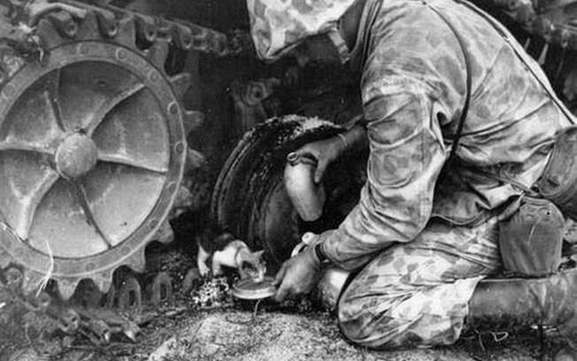 Um soldado colocando um pouco d'água pra um gatinho durante guerra.