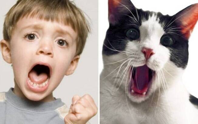 Um menino e um gatinho aparentemente querendo muito alguma coisa.