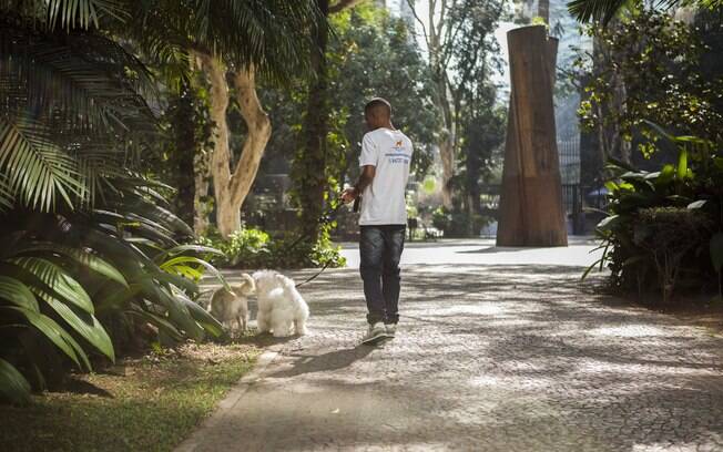 Os cachorros passeando no parque com o Dog Walker