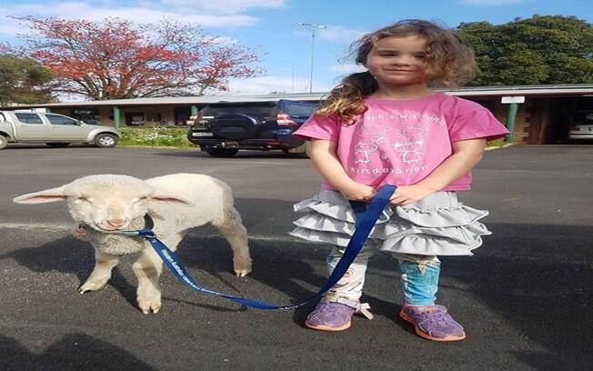 Pikelet passeando com Phoenix