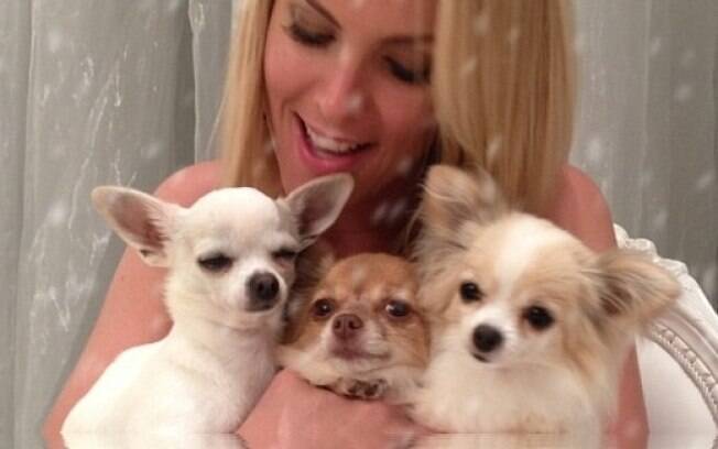 Ana Hickmann reunida com seus três cachorros