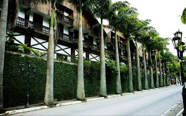 Palmeiras imperiais marcam a paisagem de Teresópolis