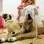 O recorde de casamento de pets mais caro pertence a um Poodle e a um Coton de Tulear. Realizado em Nova York, o enlace é estimado em mais de US$ 270 mil (R$ 550,8 mil). Foto: Getty Images