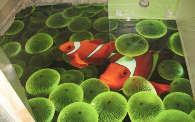 Que tal viver com 'Nemo' a seus pés?