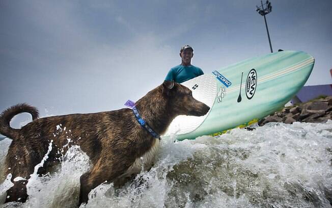 Parafina, o cachorro surfista.