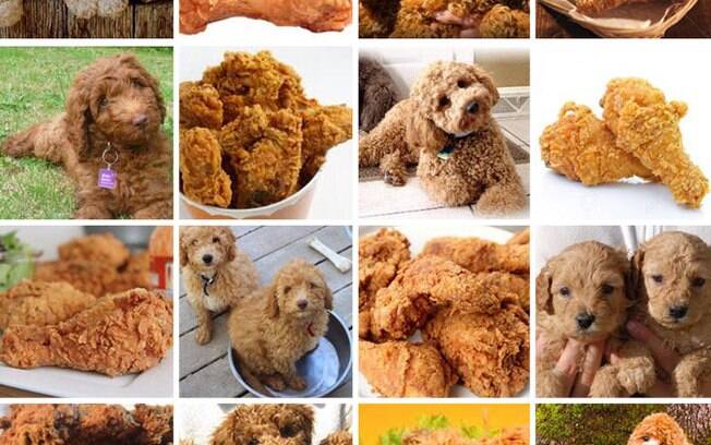 Cachorro ou frango frito