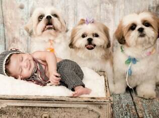 Fotógrafa conta que é comum os cães demonstrarem receio de se aproximar do bebê