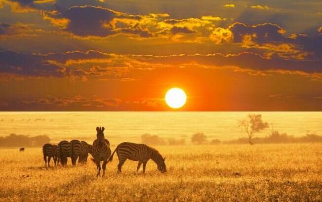 Hartbeespoort é possível realizar safari e ver diversos animais de perto Hartbeespoort é possível realizar safari e ver diversos animais de perto