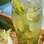 Caipirinha: limão, gelo, açúcar e cachaça . Foto: Getty Images