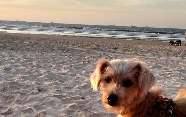 Madonna na praia