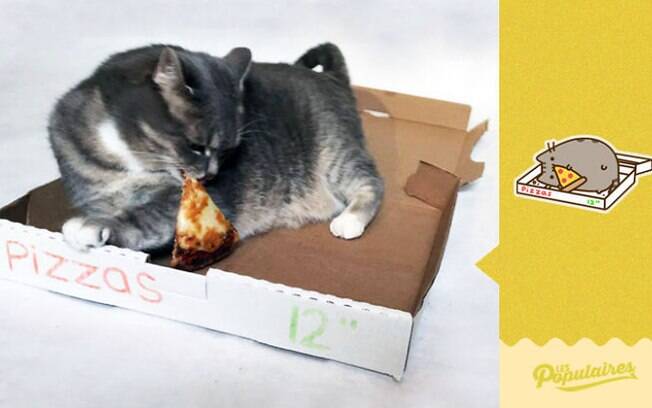 O gato que adora pizza.