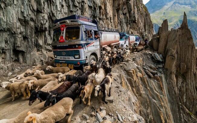 Apertada, sob constante risco de nevasca e deslizamentos de terra e, ainda tem que disputar espaço com as vacas. Essa é a Zoji La, uma das piores estradas da Índia.