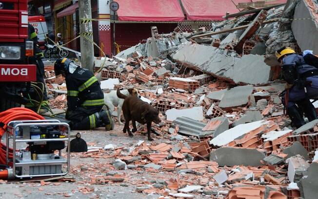 Cães farejadores são utilizados pelos bombeiros no salvamento; ao menos 60 homens estão no local. Foto: PETER LEONE/FUTURA PRESS