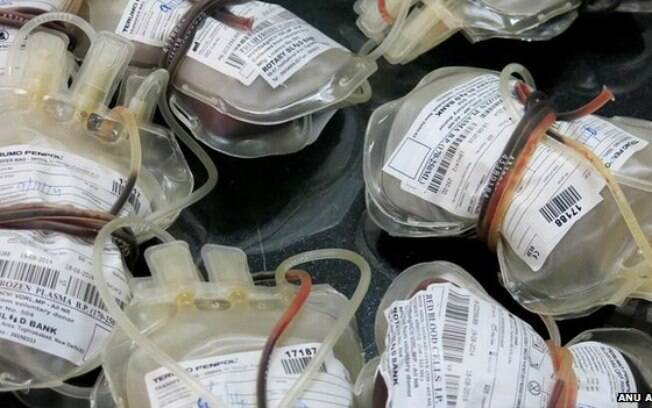 Investigações revelam fazendas de doação de sangue que mantinham pobres como fornecedores