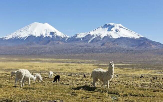 Puyehue é um parque que oferece atrações para quem gosta de aventura Puyehue é um parque que oferece atrações para quem gosta de aventura