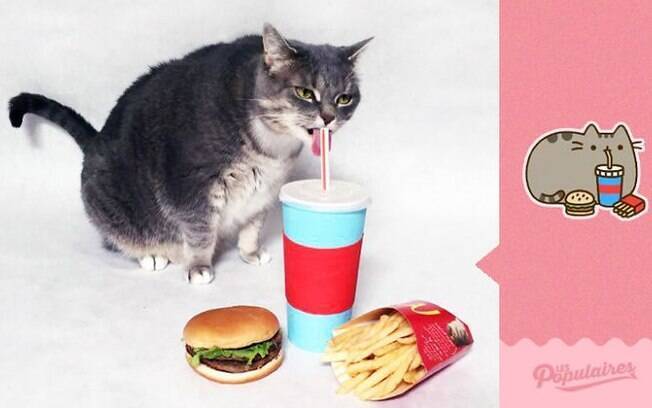 Gato é comparado com stickers do Facebook e bomba na internet.
