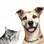 Quanto seu pet afeta sua vida?. Foto: Thinkstock/Getty Images