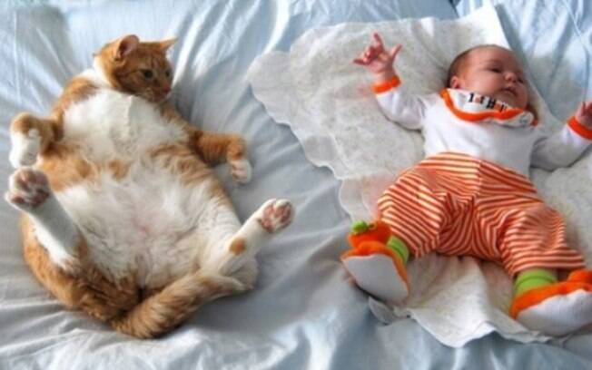 Bebêzinhos também alegram o nosso dia, ainda mais com um gatíneo.