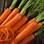 Cenoura: além de todos os benefícios da vitamina A, ainda é famosa por prolongar o bronzeado. Foto: Getty Images