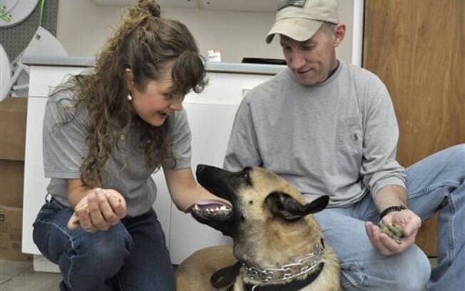 Sonny Brassfield levou o cachorro Benno até a veterinária Sarah Sexton para ser examinado