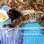 Em outros casos, os animais chegam imobilizados e é preciso uma estrutura para que possam lentamente se recuperar. Foto: Divulgação