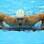 Cielo sai da piscina após semis do 50 m livre. Foto: Getty Images