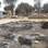 26 de janeiro - Terroristas do grupo Boko Haram invadiram o vilarejo de Kawuri, no nordeste da Nigéria, e assassinaram 85 pessoas. Foto: AP