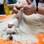 Trança embutida é opção para pets de pelos longos. Foto: Amana Salles/Fotoarena