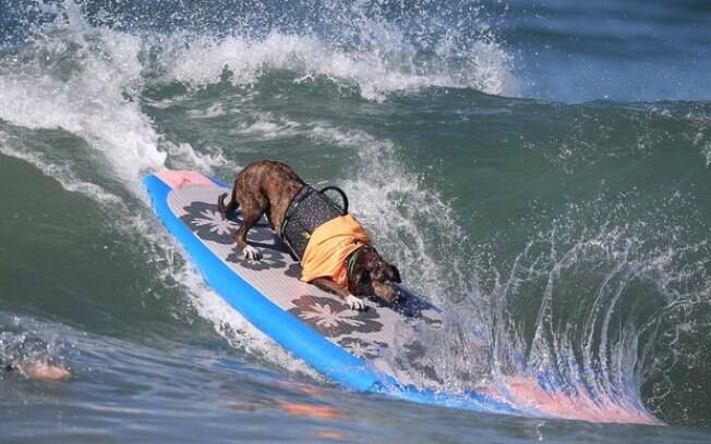 Parafina surfando e conquistando dois troféus em sua estreia em torneios internacionais.
