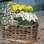 Cachepôs rústicos, feitos co, raízes e fibras naturais são boas pedidas para acompanhar flores do campo. Foto: Divulgação/Antique et Romantique