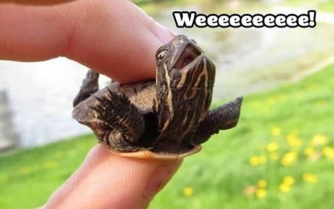 Weeeee