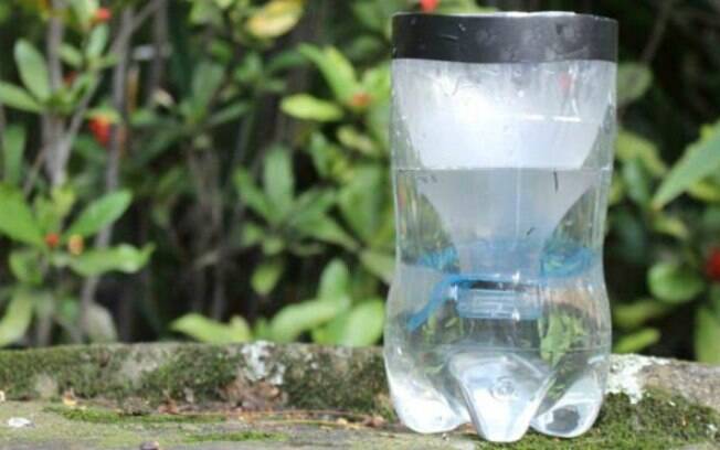 Armadilha usada atualmente contra mosquito Aedes aegypti foi criada no início dos anos 2000