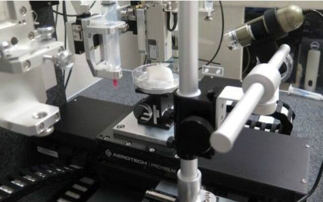 Cientistas dos EUA criam partes do corpo humano em impressoras 3D