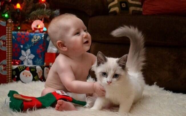 Um gatinho e um bebêzinho.