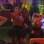 O Urso também voltou a aparecer. Fabiana foi quem mais se divertiu com ele, pois a moça era só alegria já que estava completando 36 anos de vida. Foto: Reproduçao TV Globo