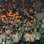 Palmeiras tem cerca de mil torcedores no Olímpico. Foto: Gabriel Cardoso