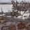 Epecuén, Argentina: o antigo balneário recebia turistas até 1985, quando a cidade ficou submersa após uma tempestade. Foto: Reprodução/Youtube