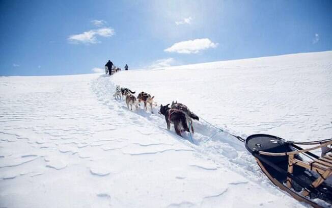 Passeio de trenó é um passeio obrigatório no inverno Passeio de trenó é um passeio obrigatório no inverno