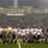 Campeões do Paulistão de 77 tiram foto com campeões da Libertadores de 2012. Foto: Gazeta Press