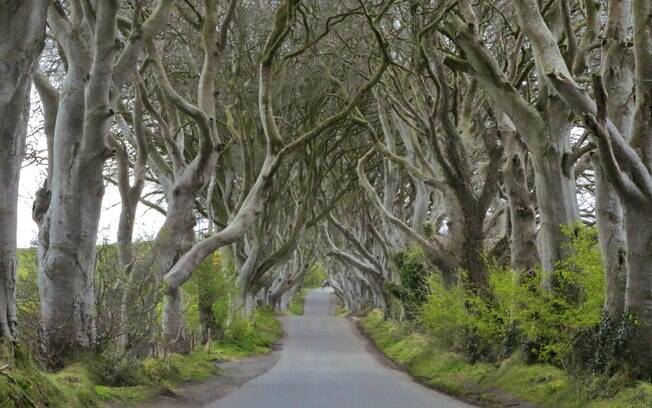 Estrada do Rei, na Irlanda do Norte, foi cenário de GOT