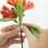 Para fazer o buquê, limpe o maço e deixe apenas as folhas que estiverem próximas às flores. Foto: Bruno Zanardo/Fotoarena