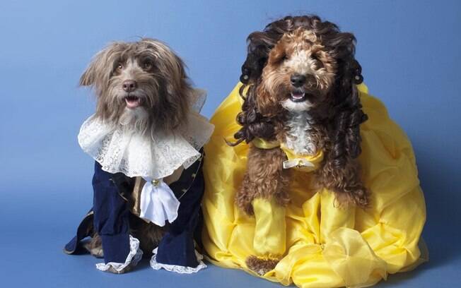 Animais de fantasia para o Dia das Bruxas: A Bela e a Fera