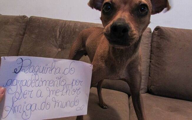 Uma catiora que ganhou uma placa por ser a melhor amiguínea.